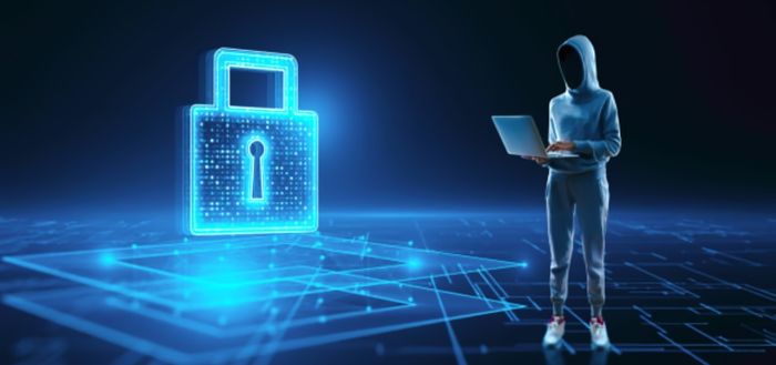 seguridad informatica